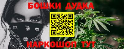 индика Лесосибирск