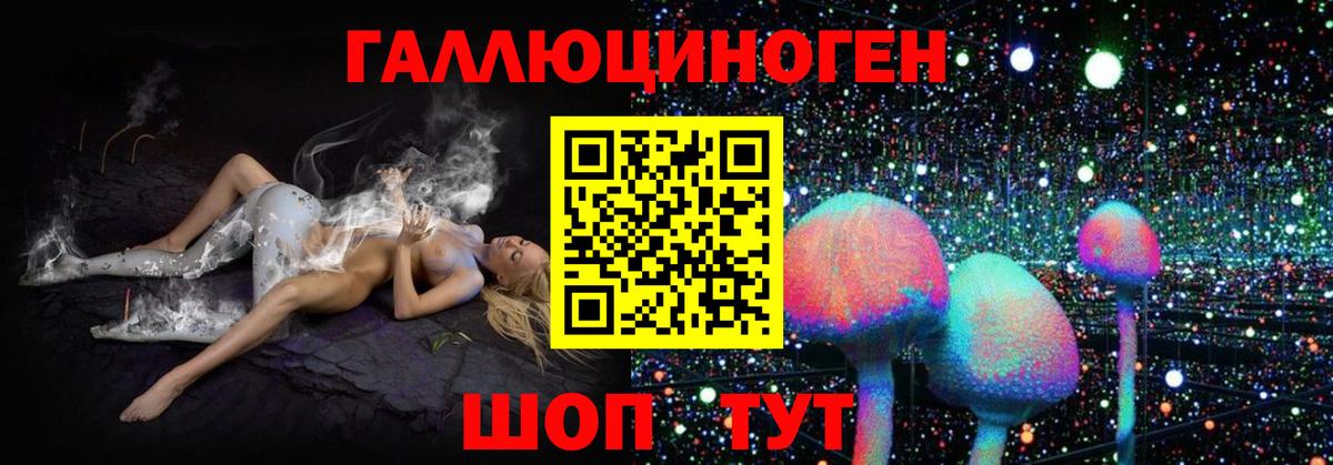 Тайшет  Псилоцибиновые грибы мухоморы  Вход с VPN 